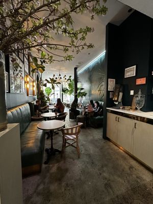 Café-Flor / Bar 21 by null
