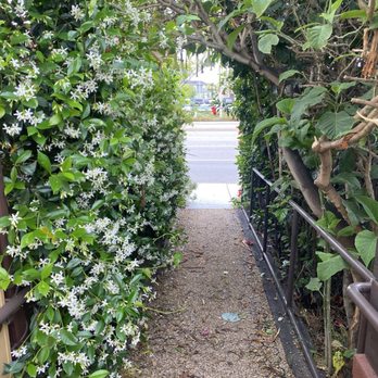 Crocker’s Cafe & Bakery - Side entrance - Cafes Near Me - Costa Mesa, California