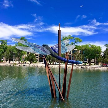 Virginia Lake Park - Playgrounds Near Me - Reno, Nevada Virginia Lake Park - Playgrounds Near Me - Reno, Nevada