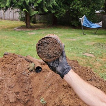 Trinity Septic Care - Excavation Services Near Me Trinity Septic Care - Excavation Services Near Me