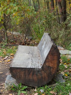 Rockefeller State Park Preserve by null