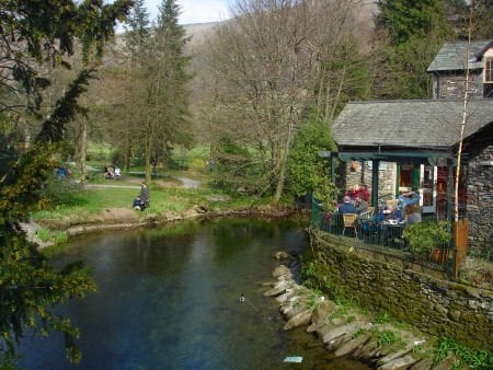 Wordsworth Daffodil Garden
