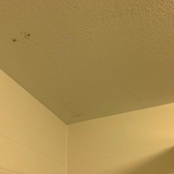 Fairfield Inn Burlington Williston - Closer view of mold on the shower ceiling. - Hotels Near Me - Williston, Vermont Fairfield Inn Burlington Williston - Closer view of mold on the shower ceiling. - Hotels Near Me - Williston, Vermont