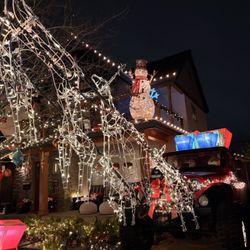 Christmas Tree Lane