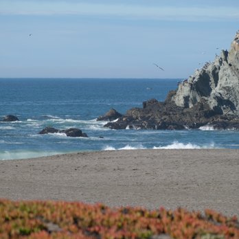 Wright's Beach Campground - Campgrounds Near Me - Bodega Bay, California