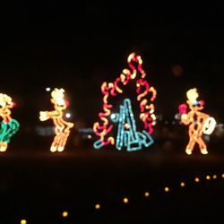 The Wonderland Of Lights