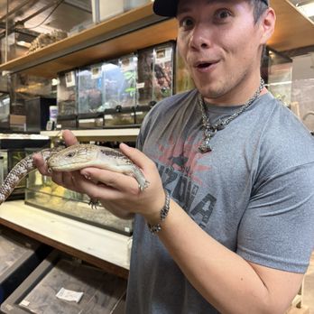 Phoenix Herpetological Society - Holding the snakes - Community Service/Non-Profit Near Me