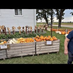 Schwinds Affordable Decorations & More - Family run farm-stand produce.