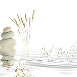 Stress Burner Yoga - Just breathe........