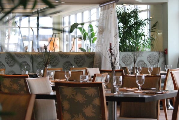 BLU Beach Bar & Grill by null