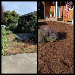 Bizy Boys Lawn and Yard Care