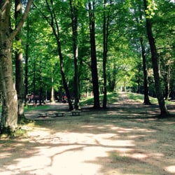 Waldspielplatz Pöring - Waldspielplatz Pöring