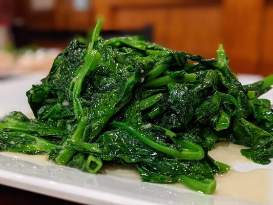 Bo Bo Garden Asian Cuisine by null