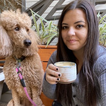 Bearcat CBD - dog friendly patio - Coffee & Tea Near Me - New Orleans, Louisiana