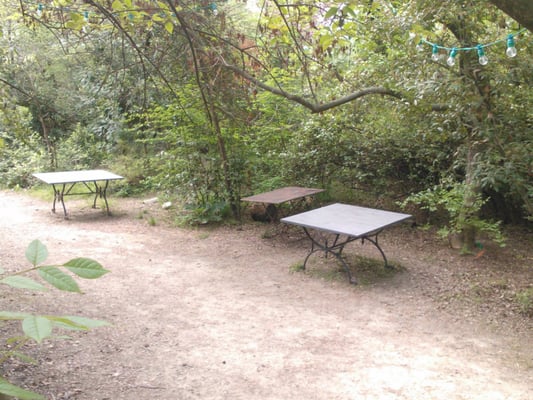 Cézanne's studio by null