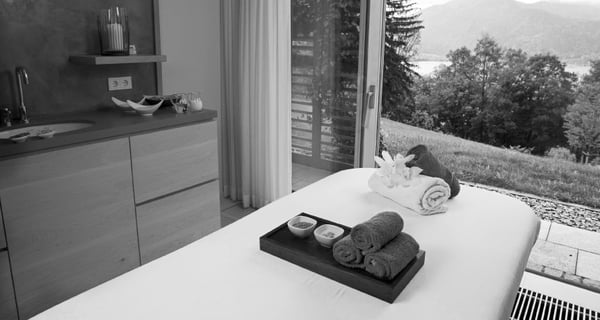 DAS TEGERNSEE by null