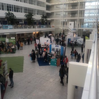 Stadhuis Den Haag - Over 150 stalls to help expats - Venues & Event Spaces Near Me - Den Haag, ZH