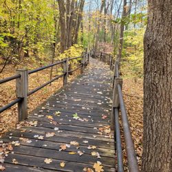 Wolcott Park - We love boardwalks
