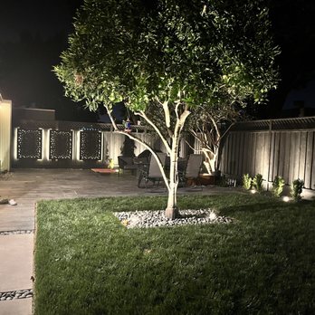Green Sierra Landscaping - Night view-beautiful up lighting and backlight decorative panels - Tree Services Near Me - San Jose, California