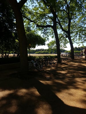 Butler Field by null