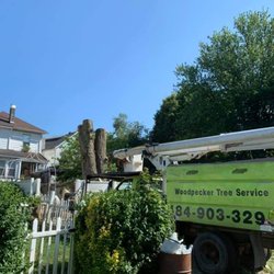 WOODPECKER TREE SERVICES - 77 Photos - Easton, Pennsylvania - Tree