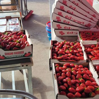 Three Sons Farm - Farmers Market Near Me - Dover, Florida
