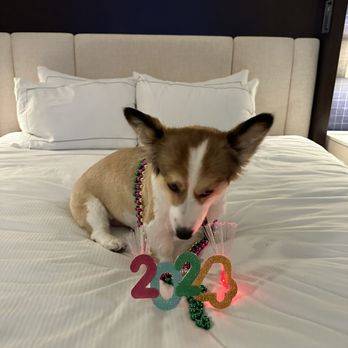 Hilton Austin - Hotels Near Me - Austin, Texas