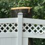 A General Tree Service