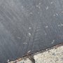 Photo of Costello Ed & Sons Paving