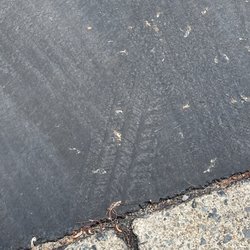 Costello Ed & Sons Paving