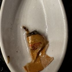 Jen Health Meal - Cigarette butt found in bamboo soup