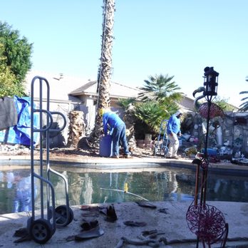 Arbor Care Tree Service - Tree Services Near Me Arbor Care Tree Service - Tree Services Near Me