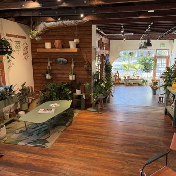 Potted - Home Decor Near Me - Los Angeles, California Potted - Home Decor Near Me - Los Angeles, California