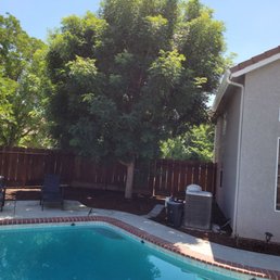 This was the tree, leaves were making a mess in the pool, and also blocking my solar panels