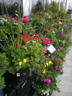 LONGOS - Updated February 2026 - 16 Reviews - 10860 Yonge Street ...