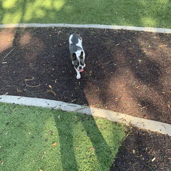 Blanche Park - Dog Parks Near Me - Miami, Florida Blanche Park - Dog Parks Near Me - Miami, Florida