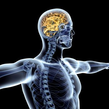 Activate Brain & Body - Trainers Near Me - Cincinnati, Ohio