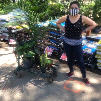 Rainbow Gardens - Nurseries & Gardening Near Me - San Antonio, Texas