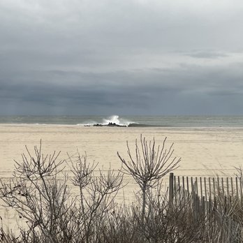 Primal By Mia - Seafood Near Me - Cape May, New Jersey