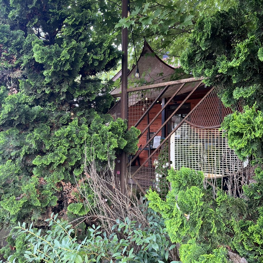 Battle Cat - Coffee & Tea Near Me - Asheville, North Carolina