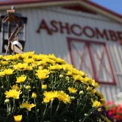 Ashcombe Farm and Greenhouses - Growing to Please You Since 1962.