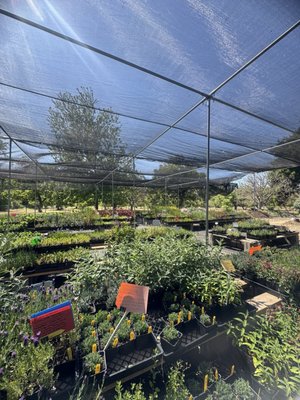 Morningsun Herb Farm by null