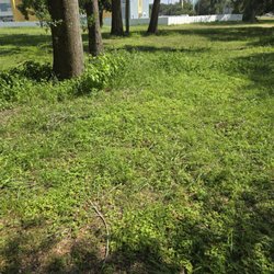 Wildwood Rv Park & Campground