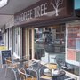 Photo of Coffee Tree