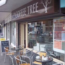 Coffee Tree