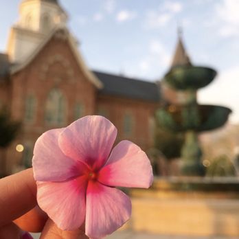 Provo City Center Temple - Churches Near Me - Provo, Utah