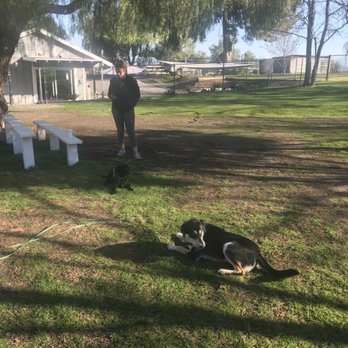 K9 Companions - Pet Training Near Me - Perris, California K9 Companions - Pet Training Near Me - Perris, California