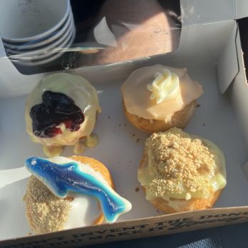 Peace Love And Little Donuts - Lemon Blueberry, Shark Attack, Orange Creme, and can't remember the other flavor - Coffee Roasteries Near Me - St. Augustine, Florida