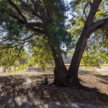 Medway Park - Medway Park - Parks Near Me Medway Park - Medway Park - Parks Near Me