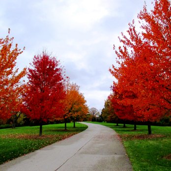 French Park - Parks Near Me - Cincinnati, Ohio French Park - Parks Near Me - Cincinnati, Ohio